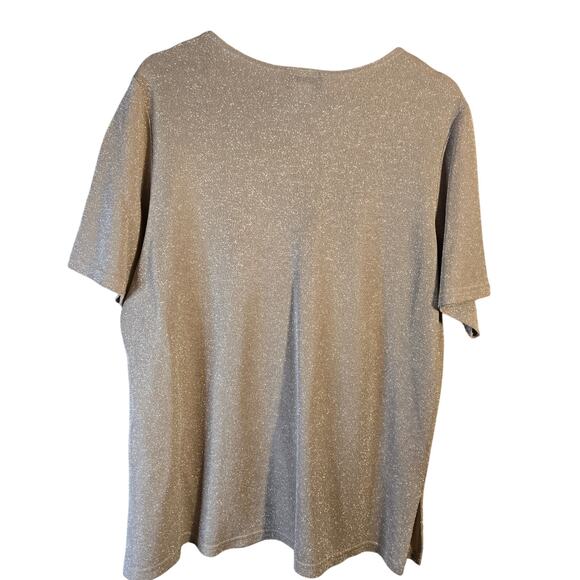 Notations Woman Sparkle Knit Top, Size 1X – Shimmery Short Sleeve Blouse [0385] - Picture 2 of 6
